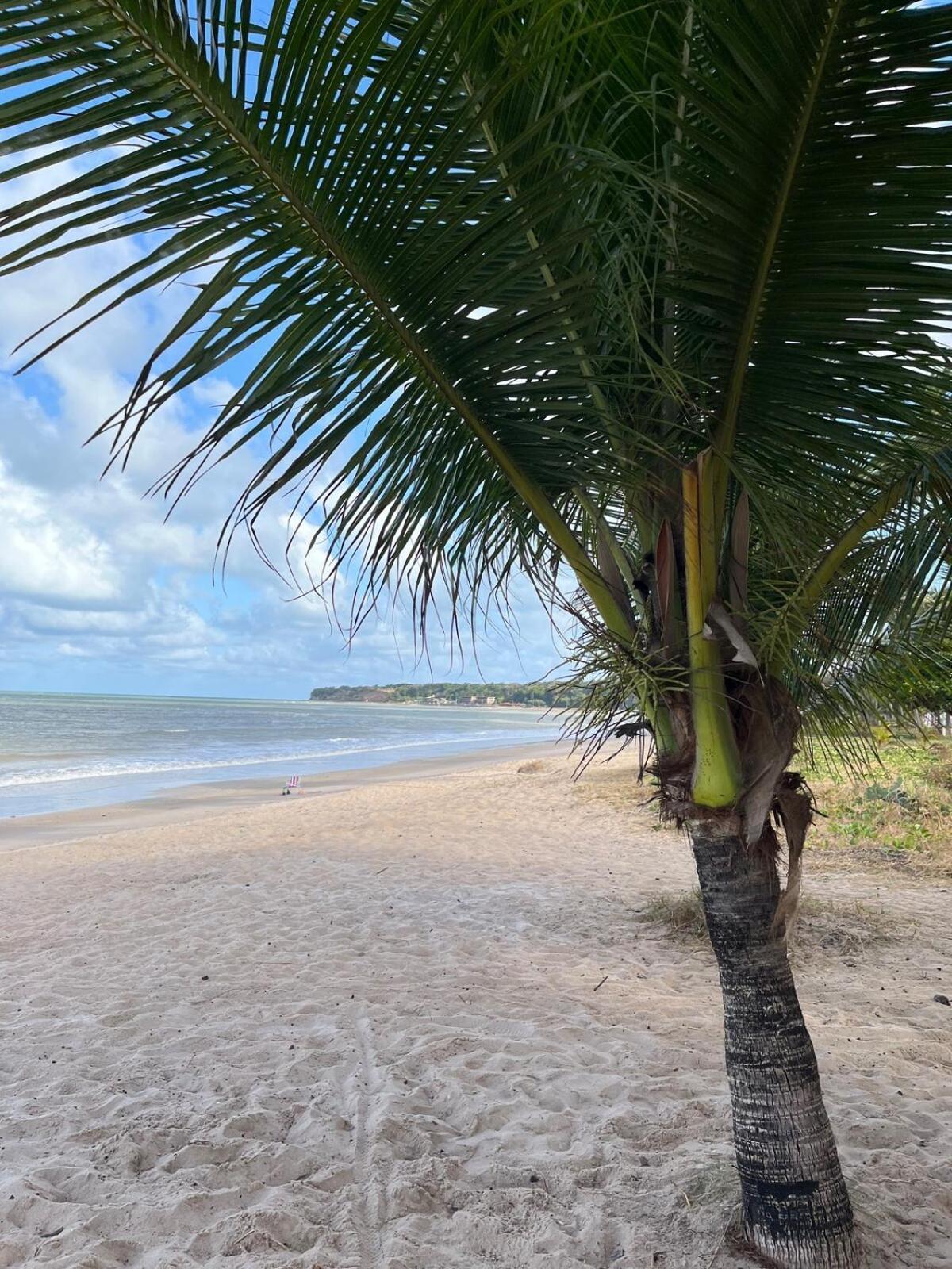 Apartamento De Cabo Branco *